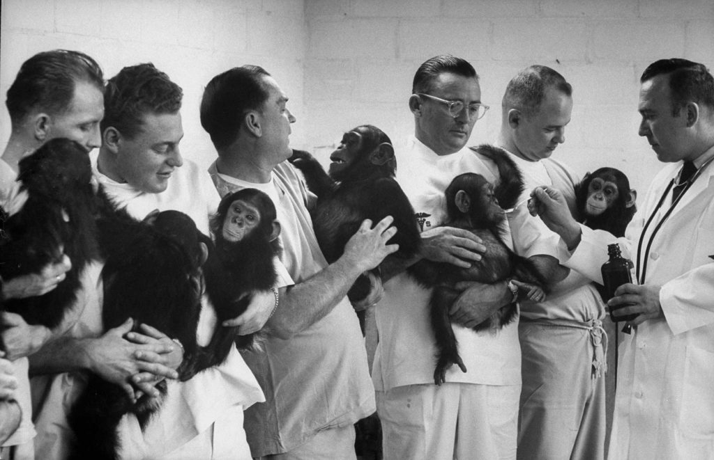 archival black and white NASA photo of very serious looking doctors holding baby chimpanzees